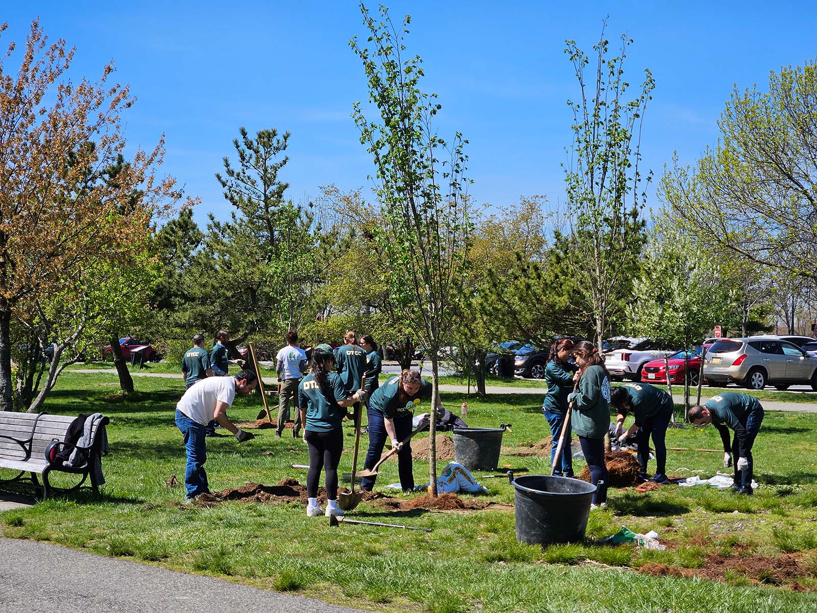 Tree Planting at 20th Century Field, Garfield