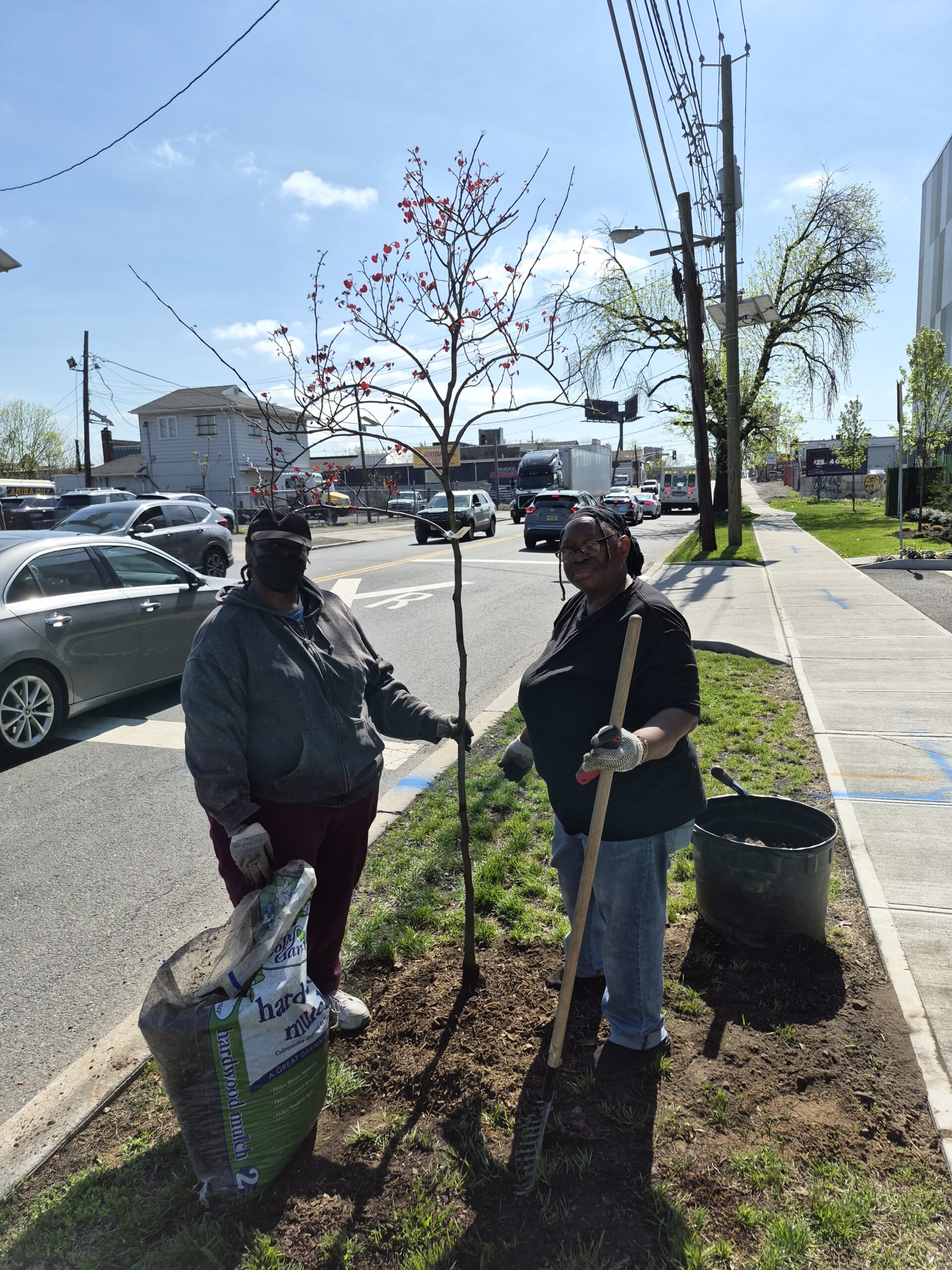 Tree Planting in Holiday City at Berkely